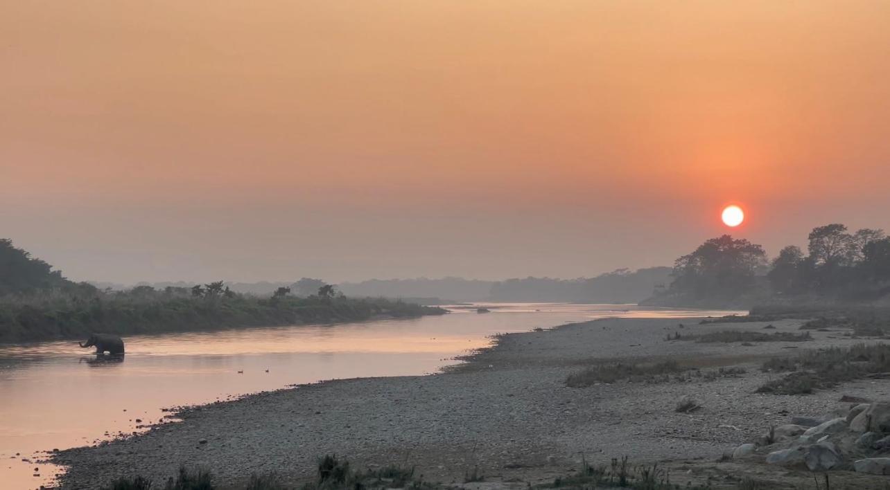 Bamby Chilling House - Feel The Nature Sauraha Exterior foto