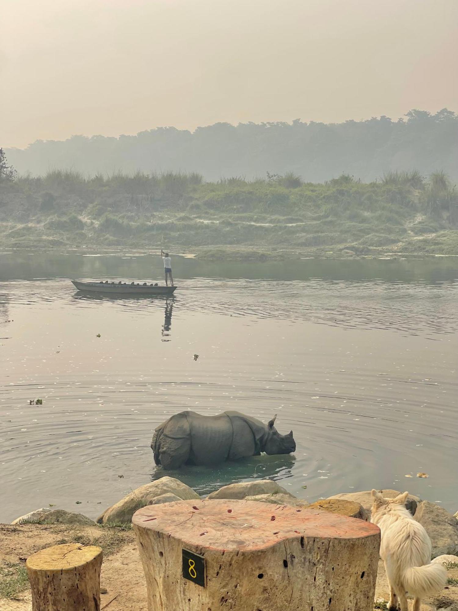 Bamby Chilling House - Feel The Nature Sauraha Exterior foto